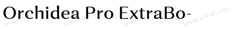 Orchidea Pro ExtraBo字体转换